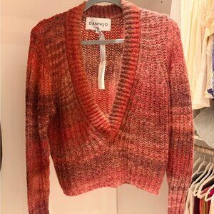 DANNIJO Women's Multicolor V-Neck Sweater